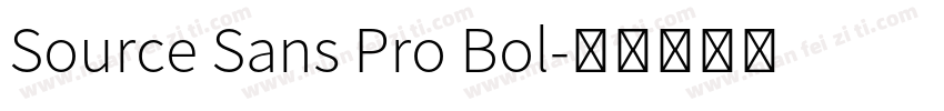 Source Sans Pro Bol字体转换